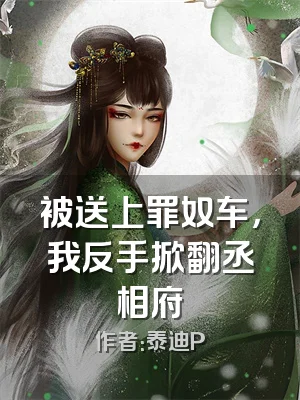 被送上罪奴车，我反手掀翻丞相府