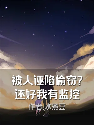 被人诬陷偷窃？还好我有监控