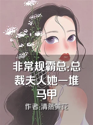 非常规霸总：总裁夫人她一堆马甲