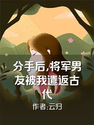 分手后，将军男友被我遣返古代