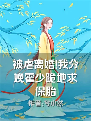 被虐离婚！我分娩霍少跪地求保胎