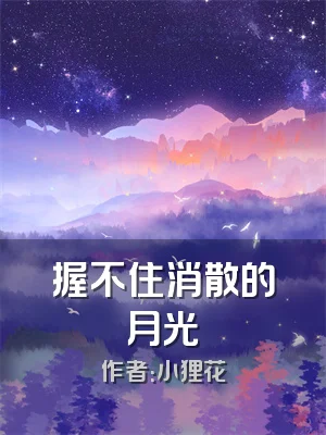 握不住消散的月光