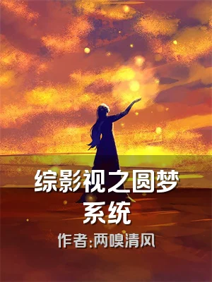 综影视之圆梦系统