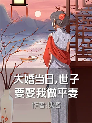 大婚当日，世子要娶我做平妻