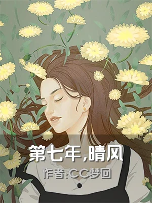 第七年，晴风