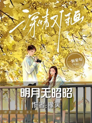 明月无昭昭
