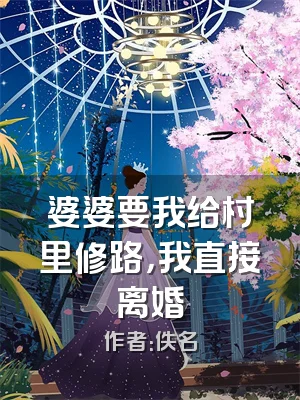 婆婆要我给村里修路，我直接离婚