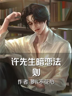 许先生暗恋法则