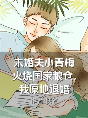 未婚夫小青梅火烧国家粮仓，我原地退婚