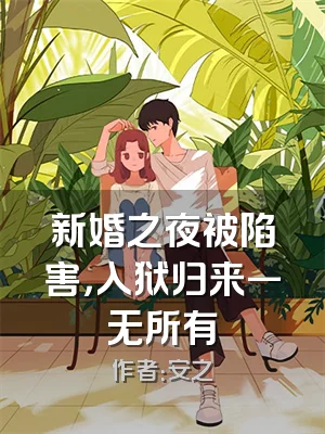 新婚之夜被陷害，入狱归来一无所有