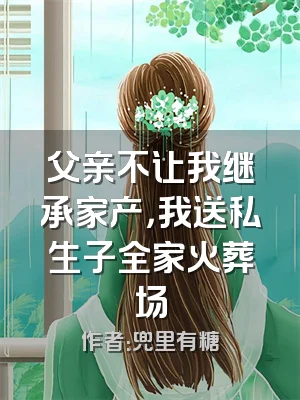 父亲不让我继承家产，我送私生子全家火葬场