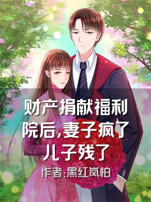 财产捐献福利院后，妻子疯了儿子残了