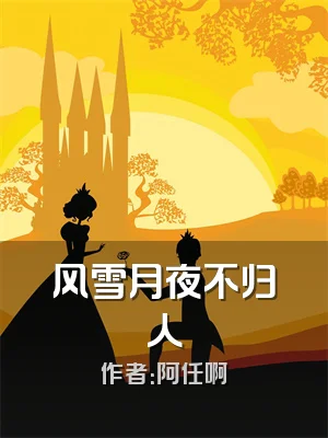 风雪月夜不归人