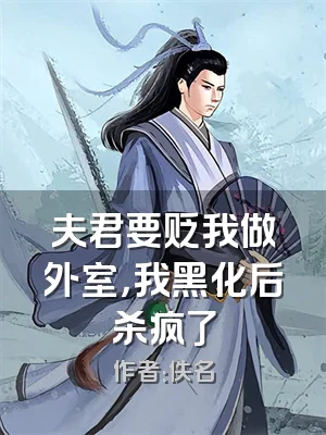 夫君要贬我做外室，我黑化后杀疯了