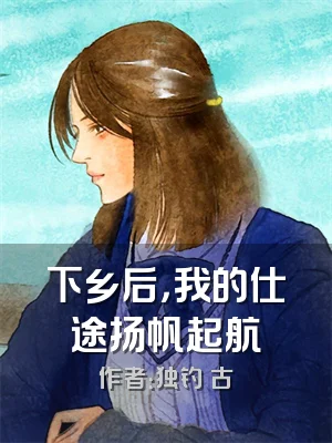 下乡后，我的仕途扬帆起航