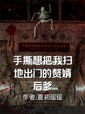 手撕想把我扫地出门的赘婿后爹