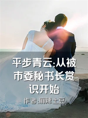 平步青云：从被市委秘书长赏识开始