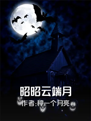 昭昭云端月
