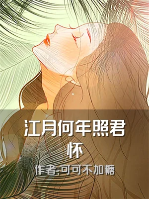 江月何年照君怀