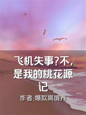 飞机失事？不，是我的桃花源记