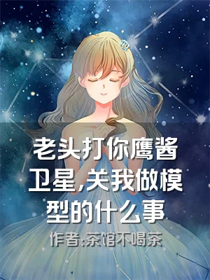 老头打你鹰酱卫星，关我做模型的什么事