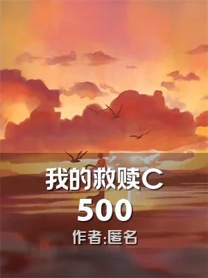 我的救赎C500