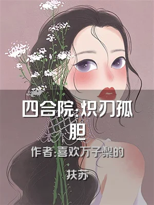 四合院：炽刃孤胆