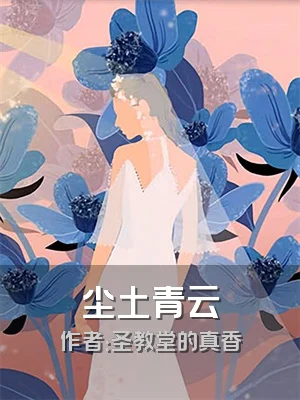尘土青云
