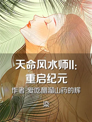 天命风水师II：重启纪元