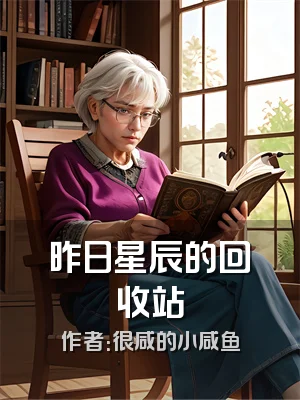 昨日星辰的回收站
