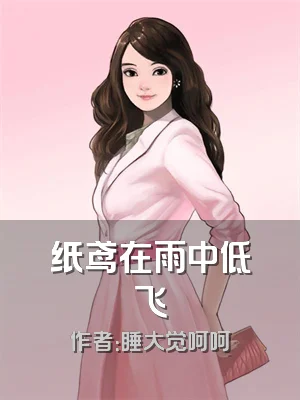 纸鸢在雨中低飞