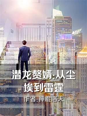 潜龙赘婿：从尘埃到雷霆