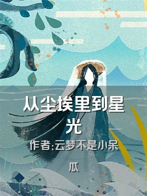 从尘埃里到星光