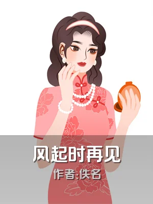风起时再见