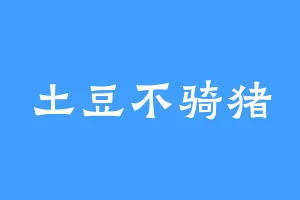 土豆不骑猪