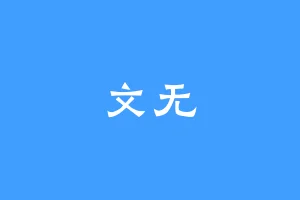 文无