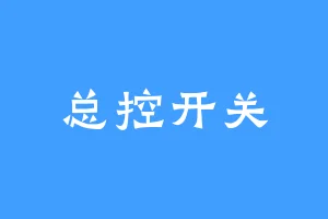 总控开关