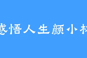 感悟人生颜小林
