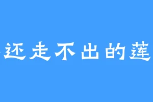25年还走不出的莲络人